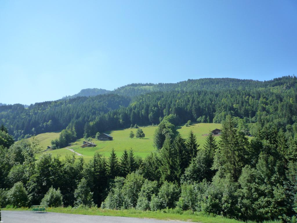 Apartament Aravis Locations Le Grand-Bornand Zewnętrze zdjęcie